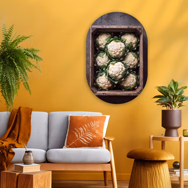 Muurovaal - Glas - Bloemkool - Houten kist — 3