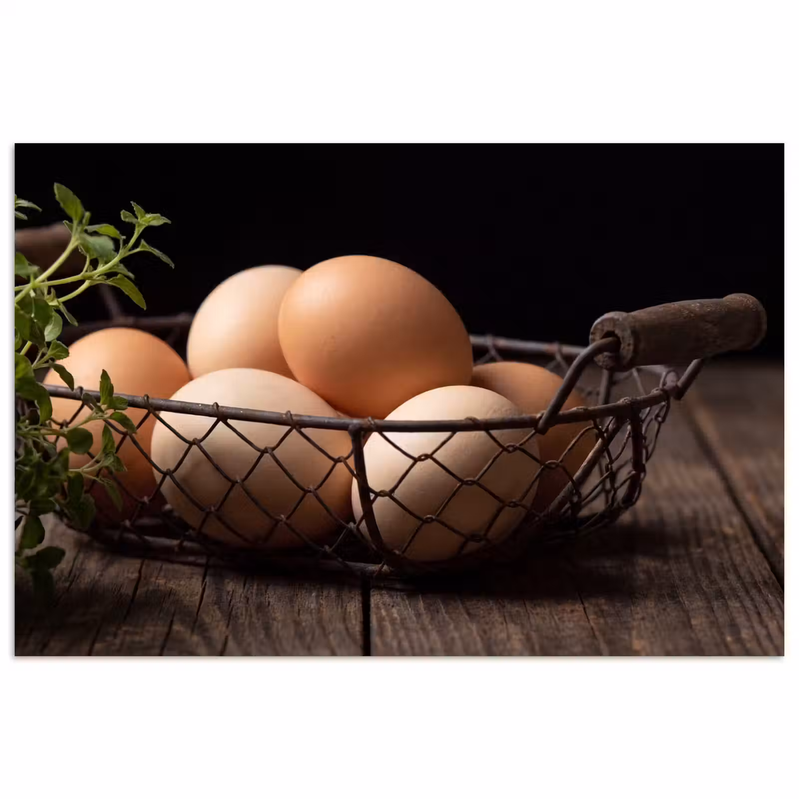 Poster - Eieren - Mand - Eten — 1