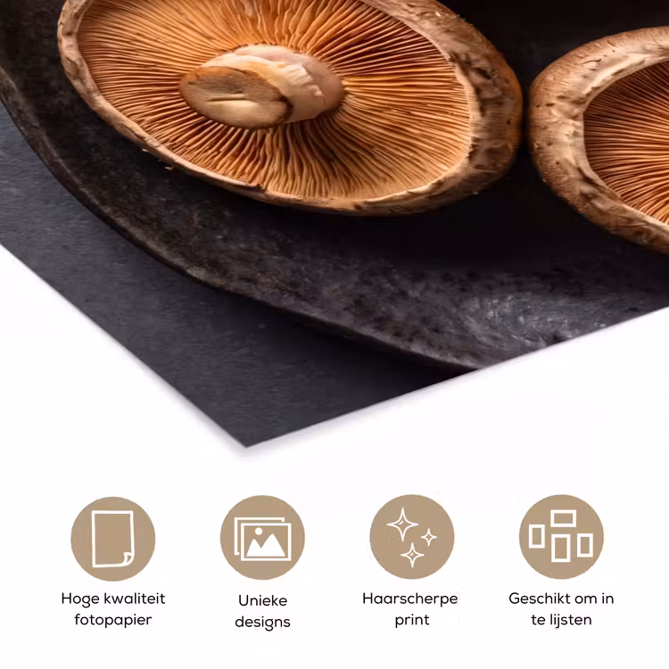 Poster - Paddestoelen - Kruiden - Eten — 5