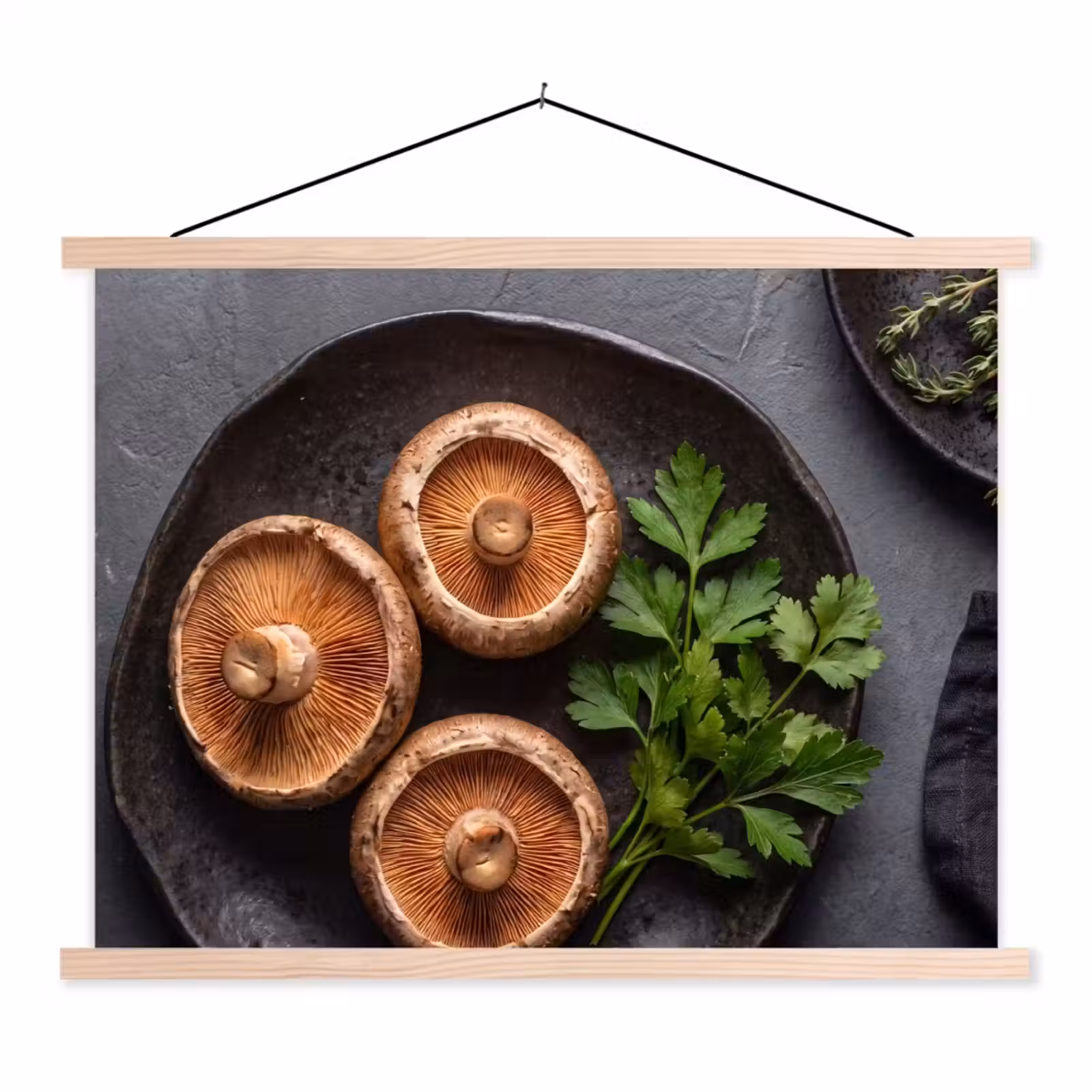 Schoolplaat - Paddestoelen - Kruiden - Eten — 1