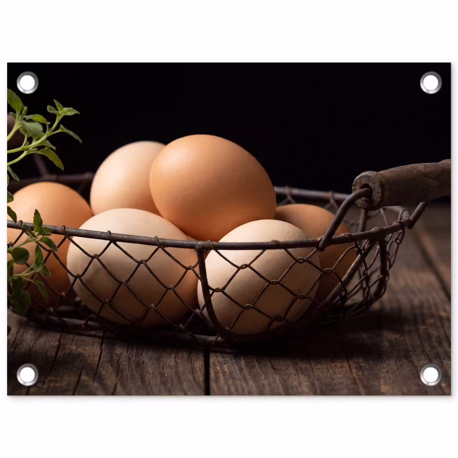 Tuinposter - Eieren - Mand - Eten — 1