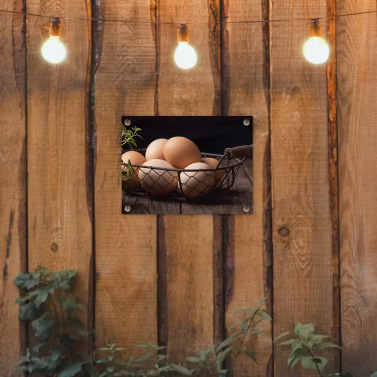 Tuinposter - Eieren - Mand - Eten — 2