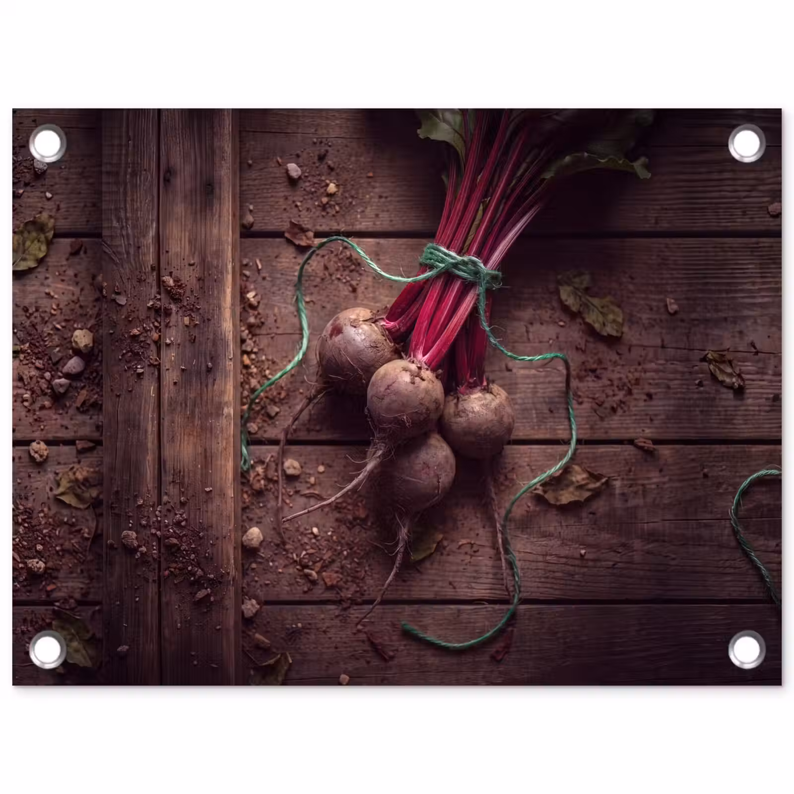 Tuinposter - Groente - Bieten - Rustiek — 1