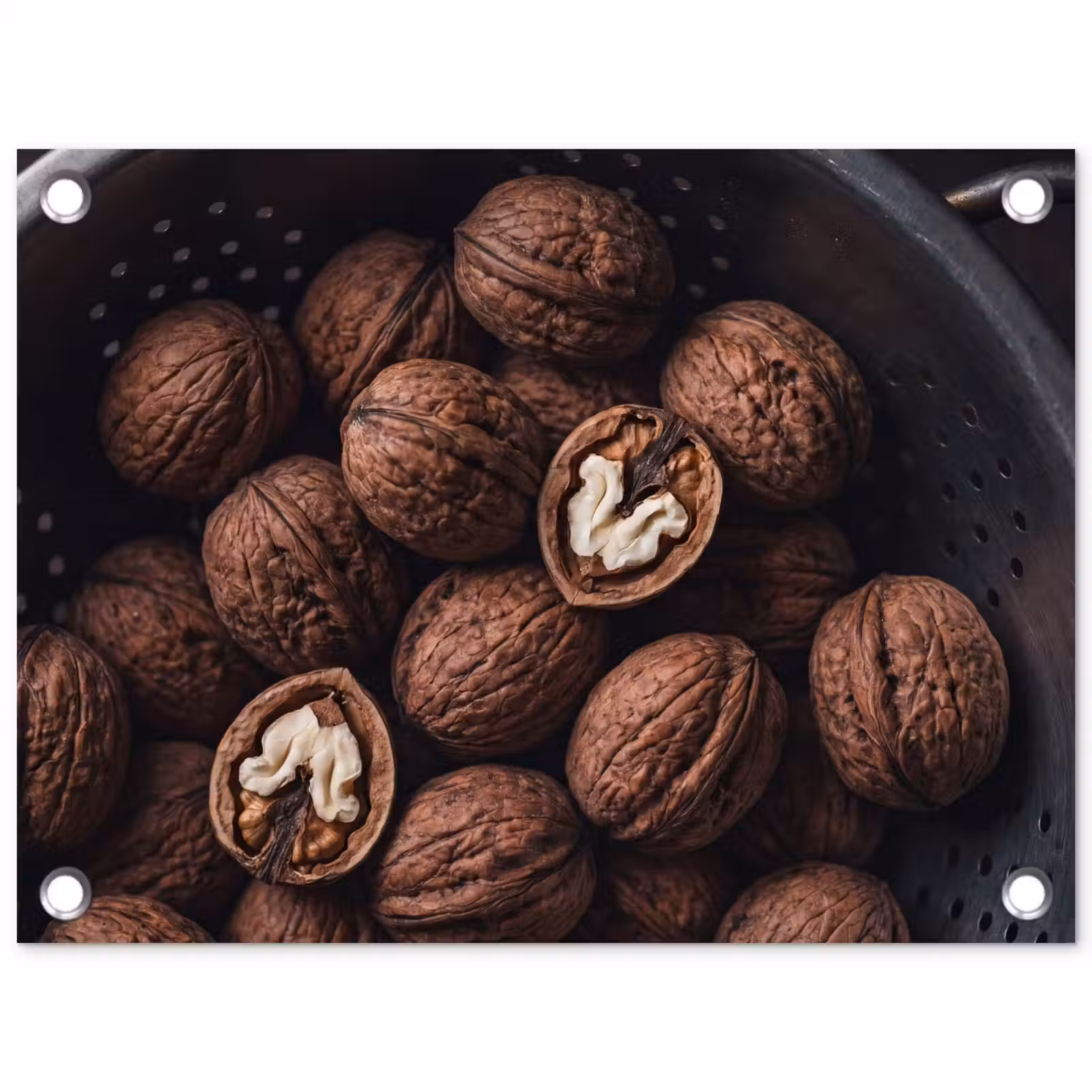 Tuinposter - Walnoot - Eten - Donker — 1