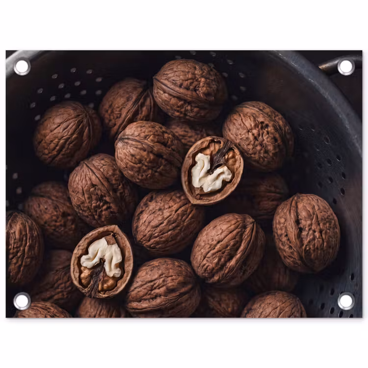 Tuinposter - Walnoot - Eten - Donker — 1