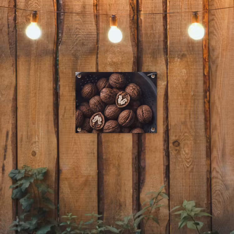 Tuinposter - Walnoot - Eten - Donker — 2
