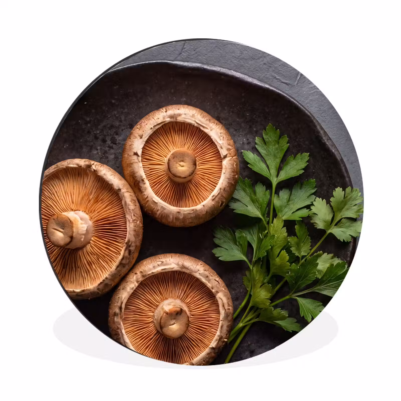 Wandcirkel - Aluminium - Paddestoelen - Kruiden - Eten — 1