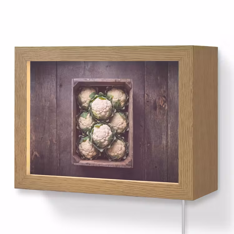 Lightbox - Wandlamp - Bloemkool - Houten kist — 1