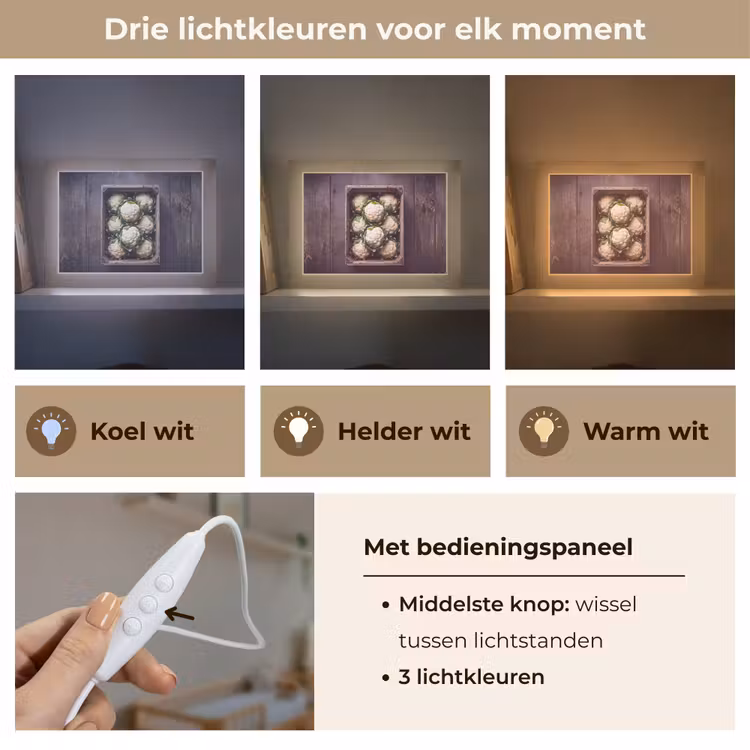 Lightbox - Wandlamp - Bloemkool - Houten kist — 7