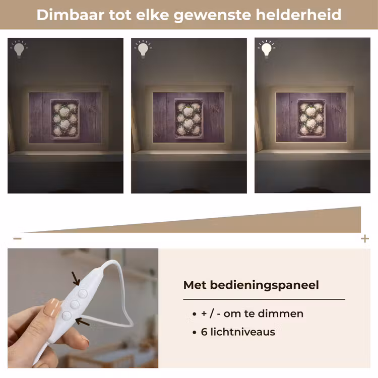 Lightbox - Wandlamp - Bloemkool - Houten kist — 8