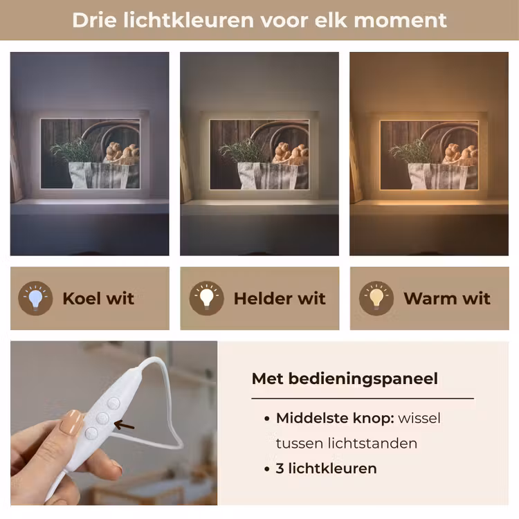Lightbox - Wandlamp - Brood - Kruiden - Eten — 7