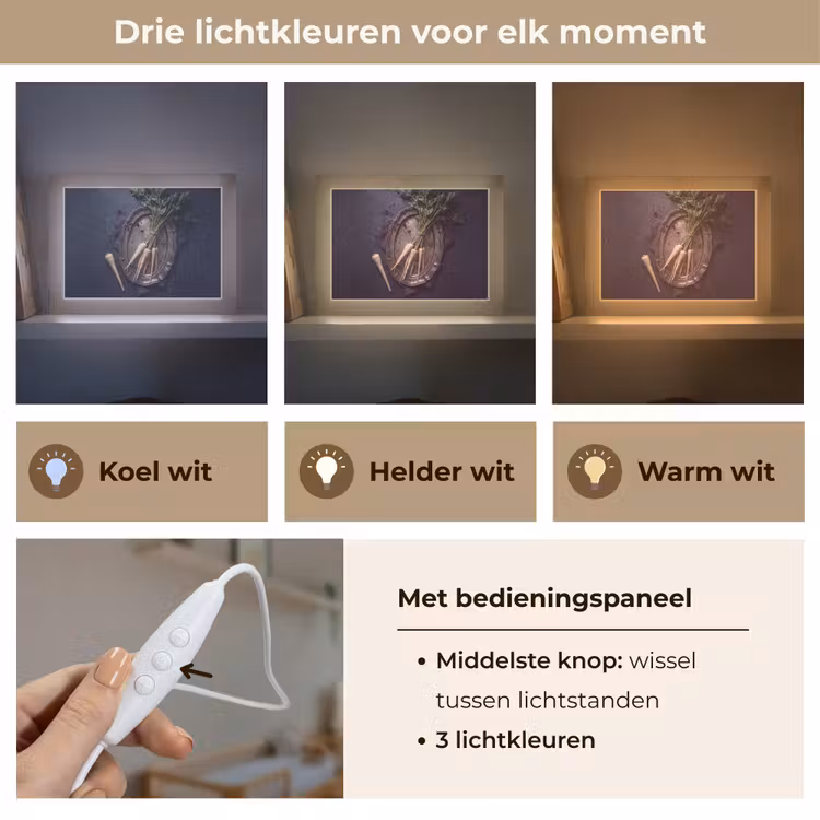 Lightbox - Wandlamp - Groenten - Still-leven - Donker — 7