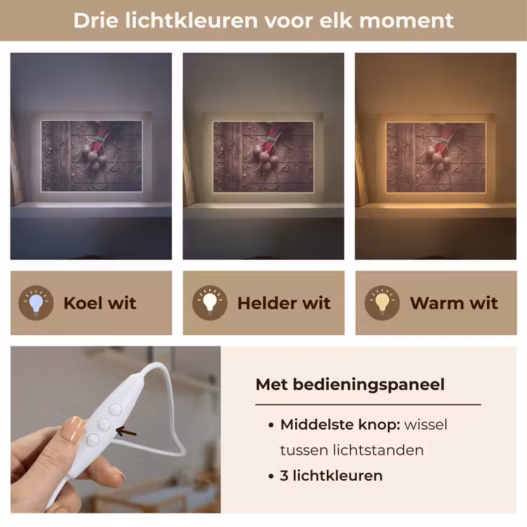 Lightbox - Wandlamp - Groente - Bieten - Rustiek — 7