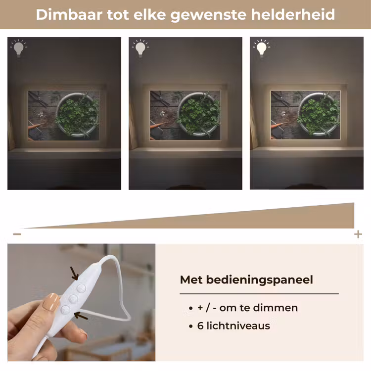 Lightbox - Wandlamp - Groenten - Hout - Eten — 8