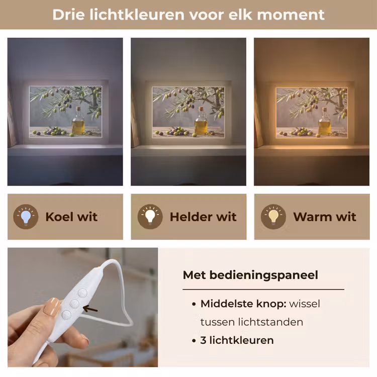 Lightbox - Wandlamp - Olijfboom - Olijven - Natuur — 7