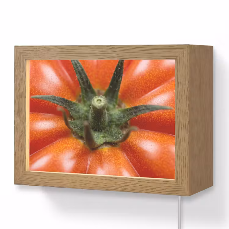 Lightbox - Wandlamp - Eten - Tomaat - Rood — 1