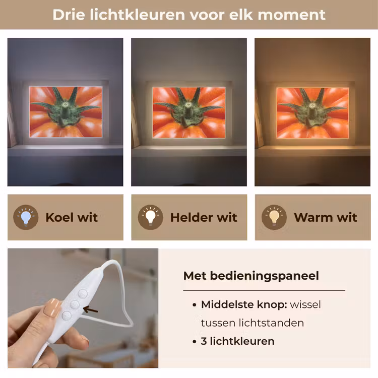 Lightbox - Wandlamp - Eten - Tomaat - Rood — 7