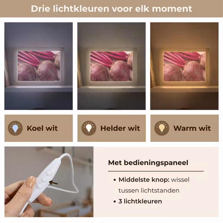 Lightbox - Wandlamp - Groente - Rood - Vers — 7