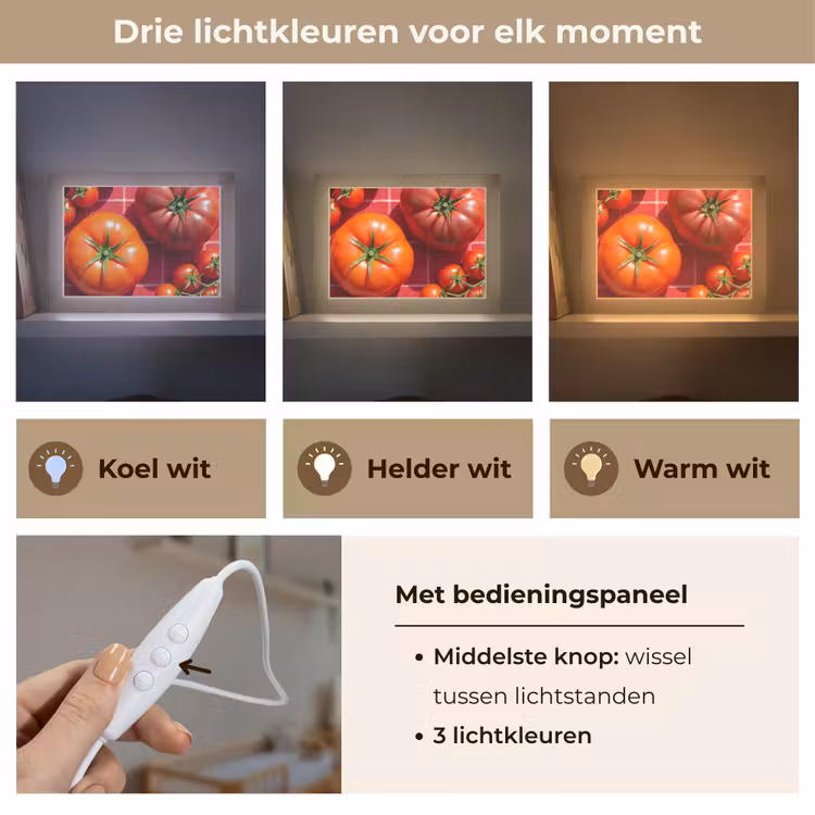 Lightbox - Wandlamp - Tomaat - Rood - Eten — 7