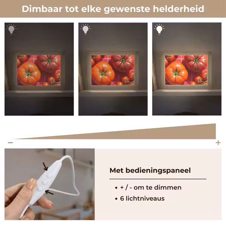Lightbox - Wandlamp - Tomaat - Rood - Eten — 8