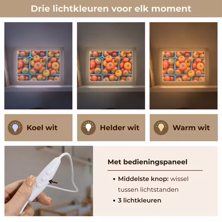 Lightbox - Wandlamp - Tomaten - Eten - Kleurrijk — 7