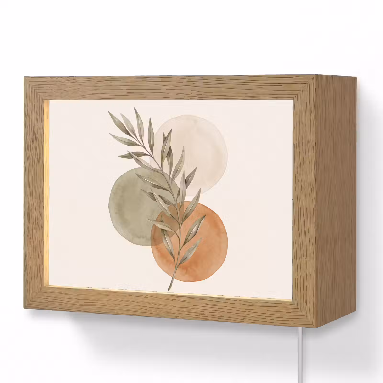 Lightbox - Wandlamp - Plant - Cirkels - Abstract — 1