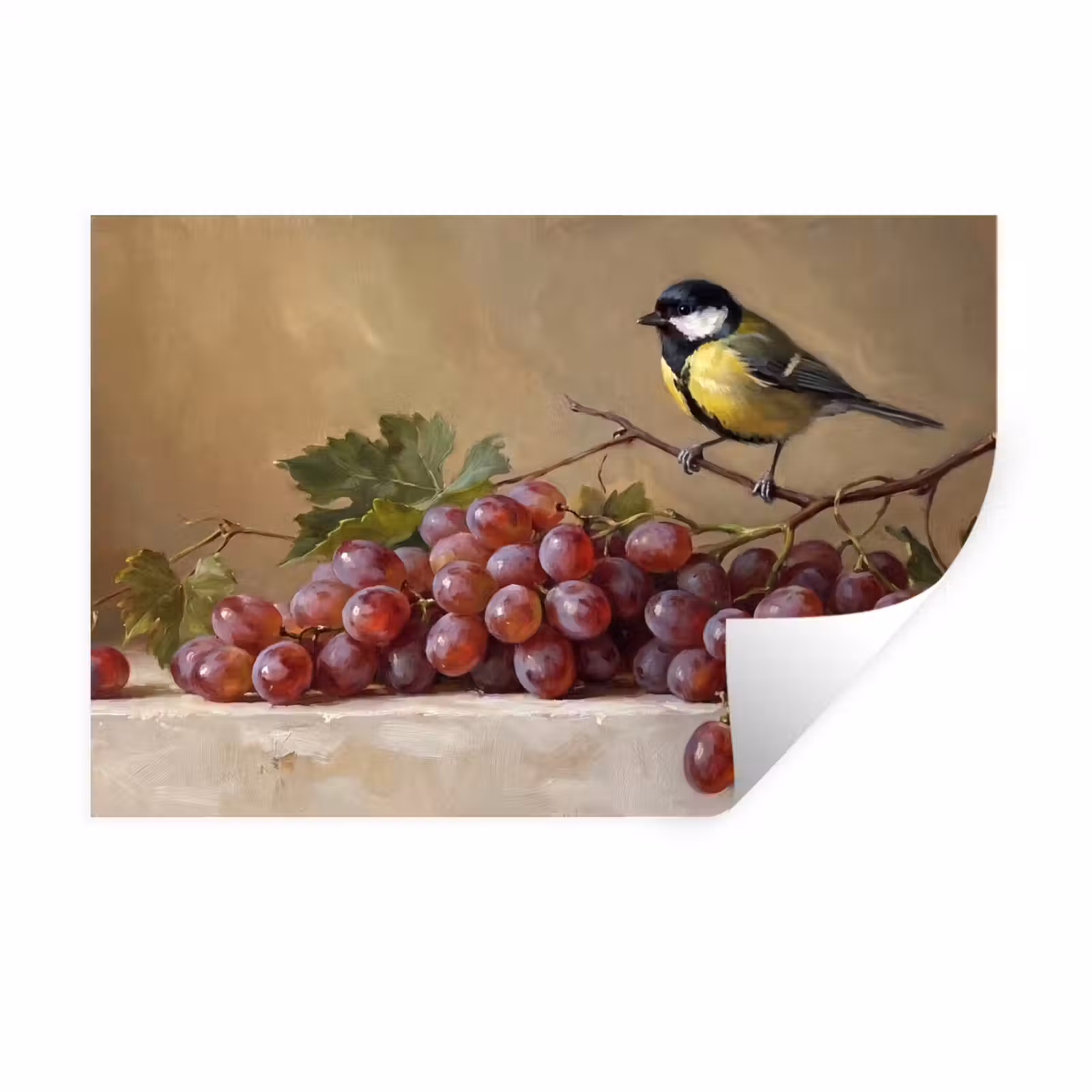 Muursticker - Vogel - Druiven - Stilleven — 1