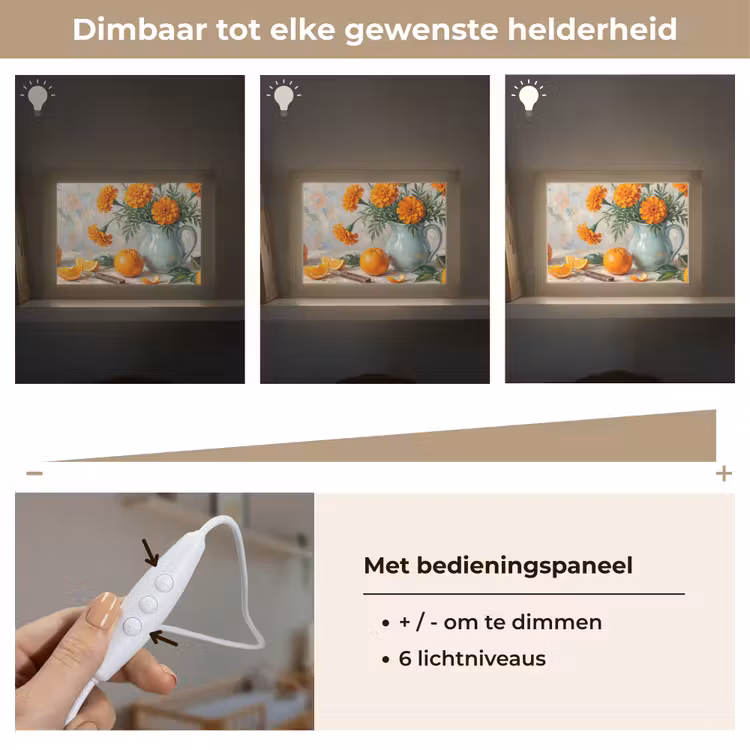 Lightbox - Wandlamp - Eten - Oranje - Kunst — 8
