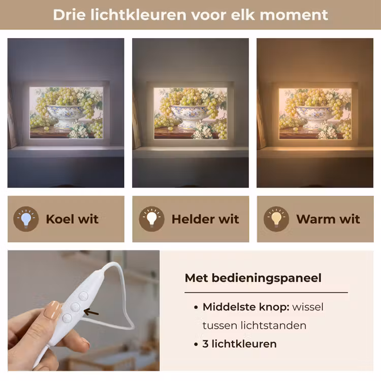 Lightbox - Wandlamp - Fruit - Stilleven - Klassiek — 7
