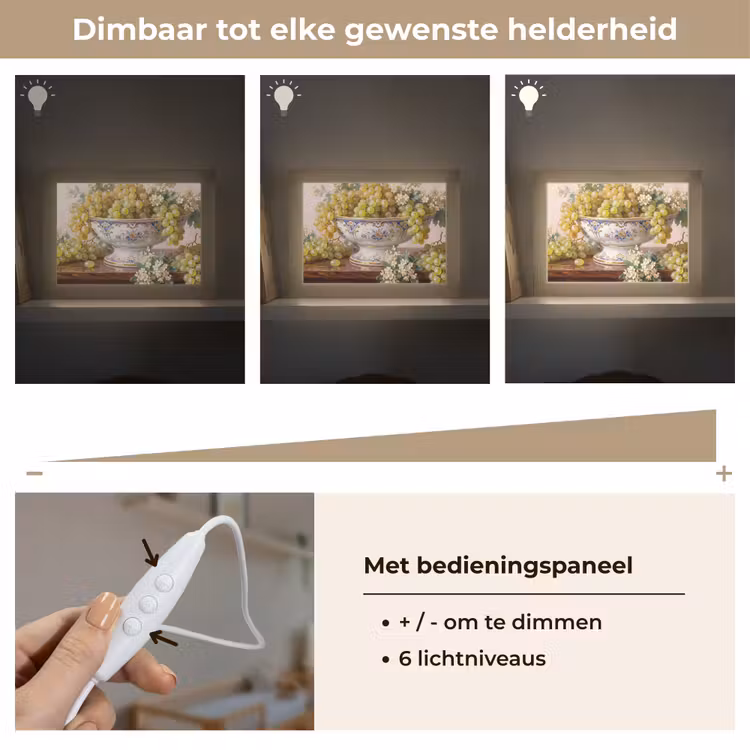Lightbox - Wandlamp - Fruit - Stilleven - Klassiek — 8
