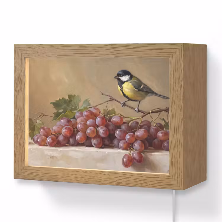 Lightbox - Wandlamp - Vogel - Druiven - Stilleven — 1