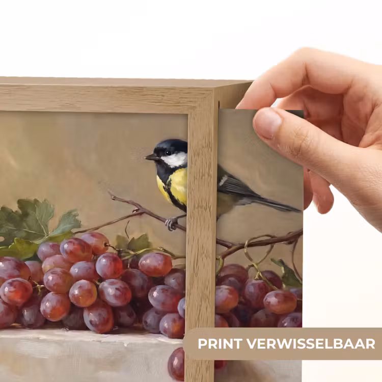 Lightbox - Wandlamp - Vogel - Druiven - Stilleven — 6