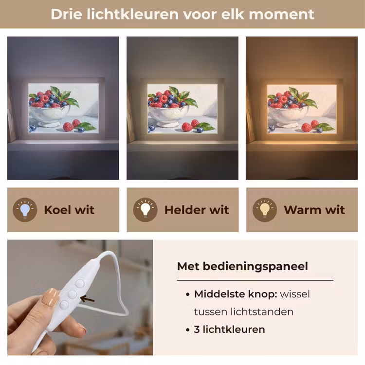 Lightbox - Wandlamp - Bessen - Kom - Eten — 7