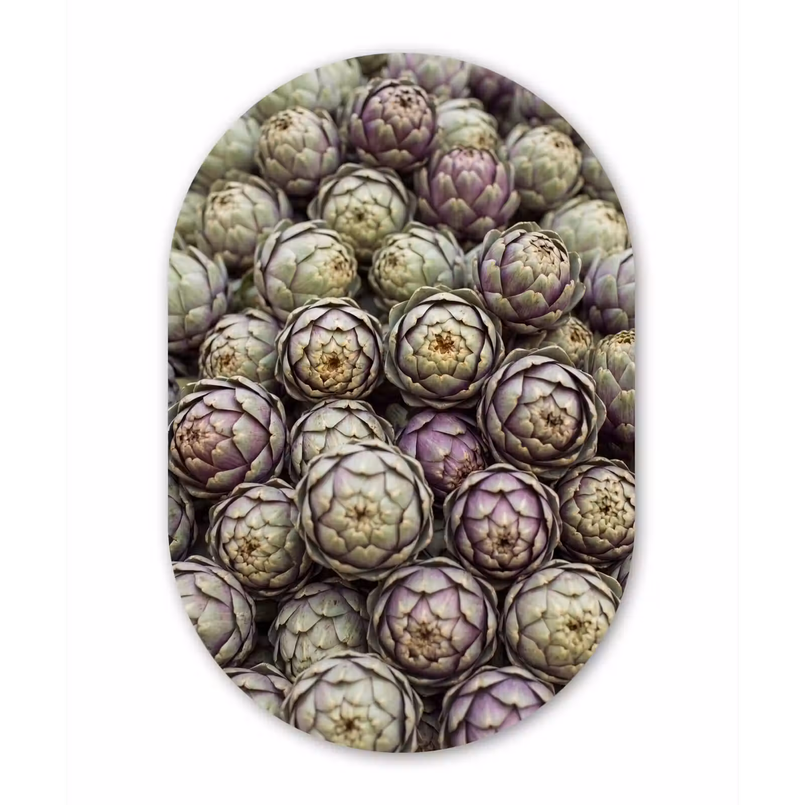 Muurovaal aluminium - Groenten - Vers - Eten — 1