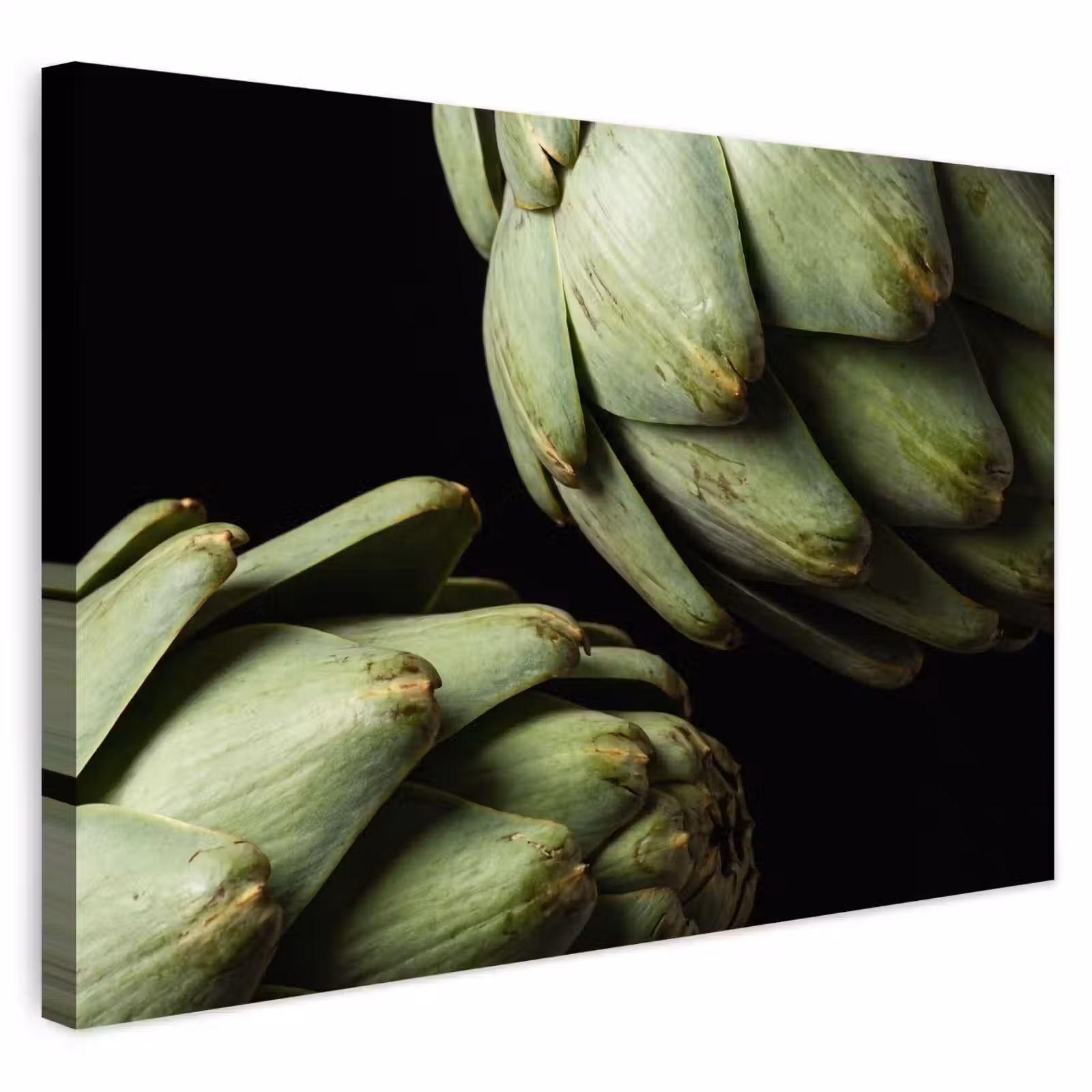 Buiten canvas - Artisjok - Groen - Eten — 1