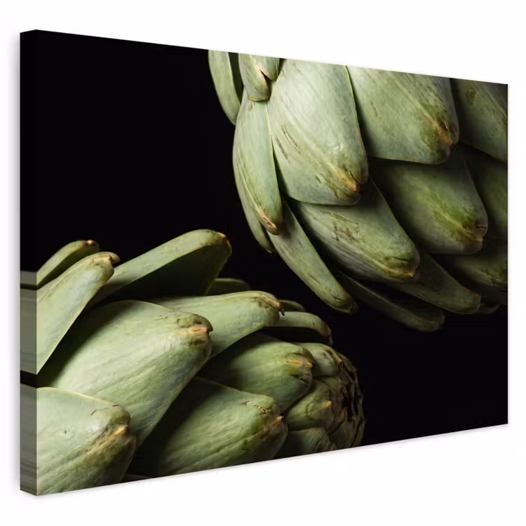 Buiten canvas - Artisjok - Groen - Eten — 1