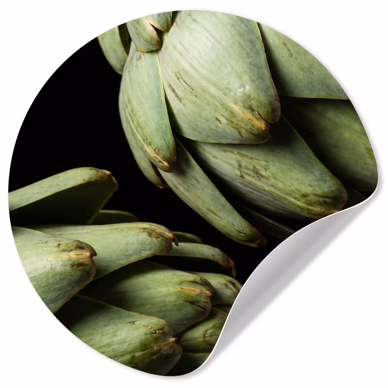 Behangcirkel - Artisjok - Groen - Eten — 1