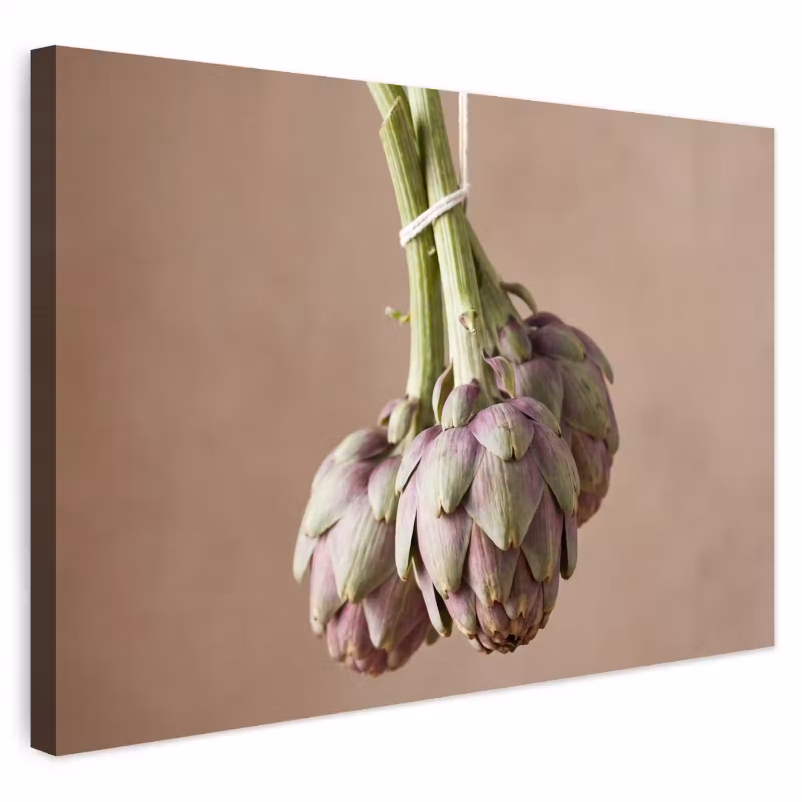 Buiten canvas - Artisjokken - Hangend - Groenten — 1
