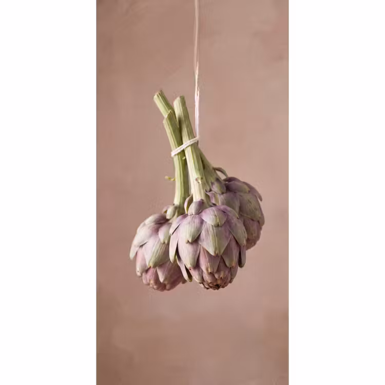 Behang - Artisjokken - Hangend - Groenten — 2