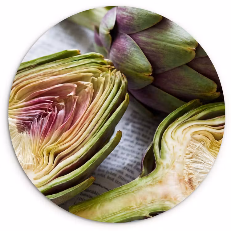 Muurcirkel - Artisjok - Doorgesneden - Eten — 1
