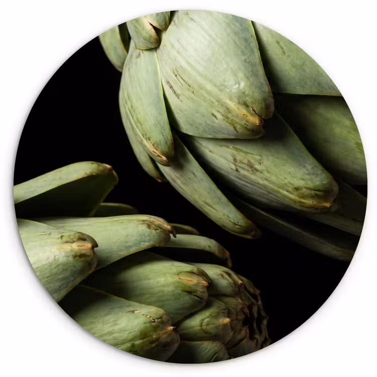 Muurcirkel - Artisjok - Groen - Eten — 1