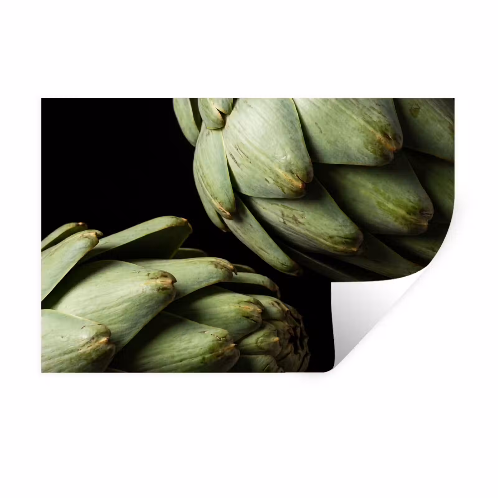 Muursticker - Artisjok - Groen - Eten — 1
