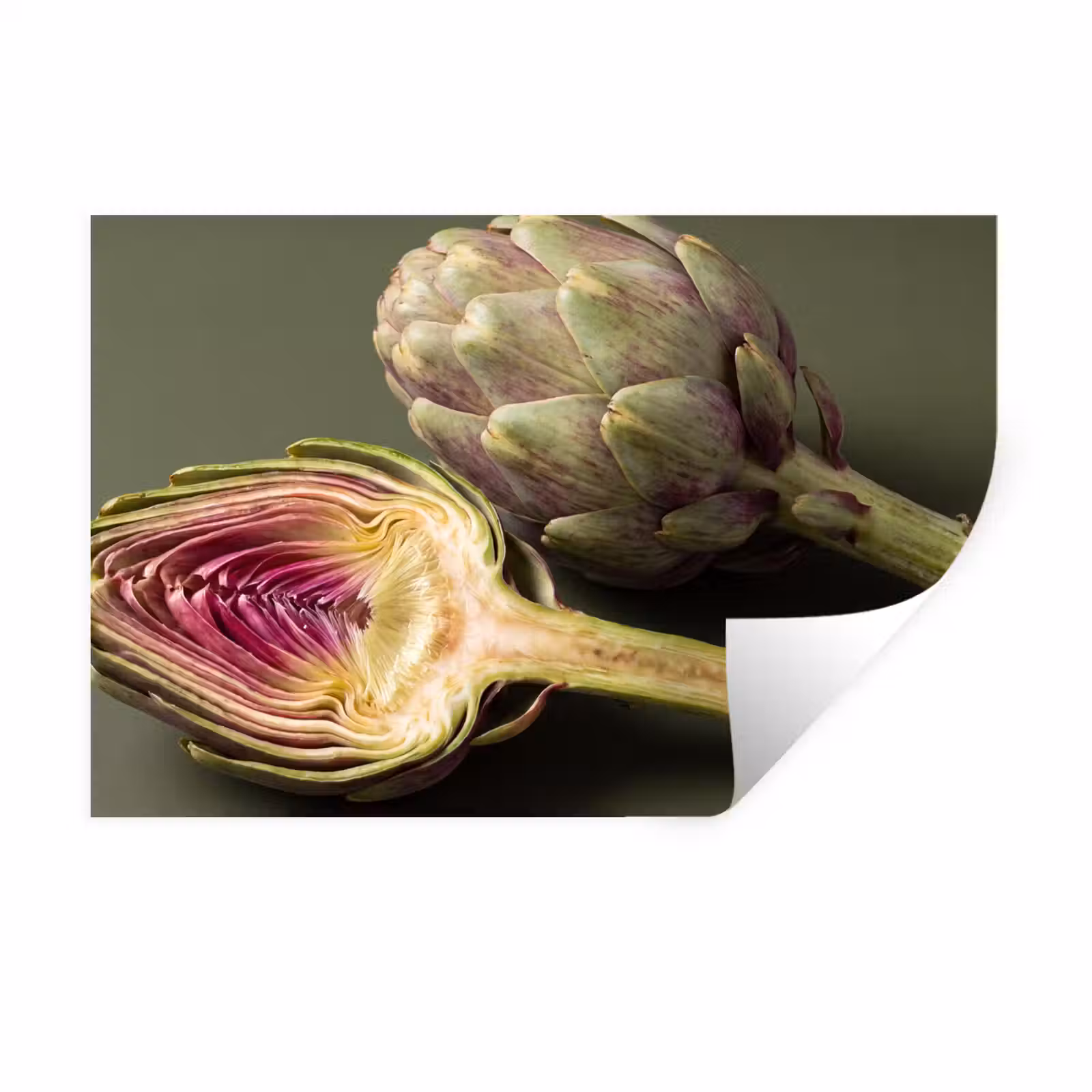 Muursticker - Artisjok - Paars - Voedsel — 1