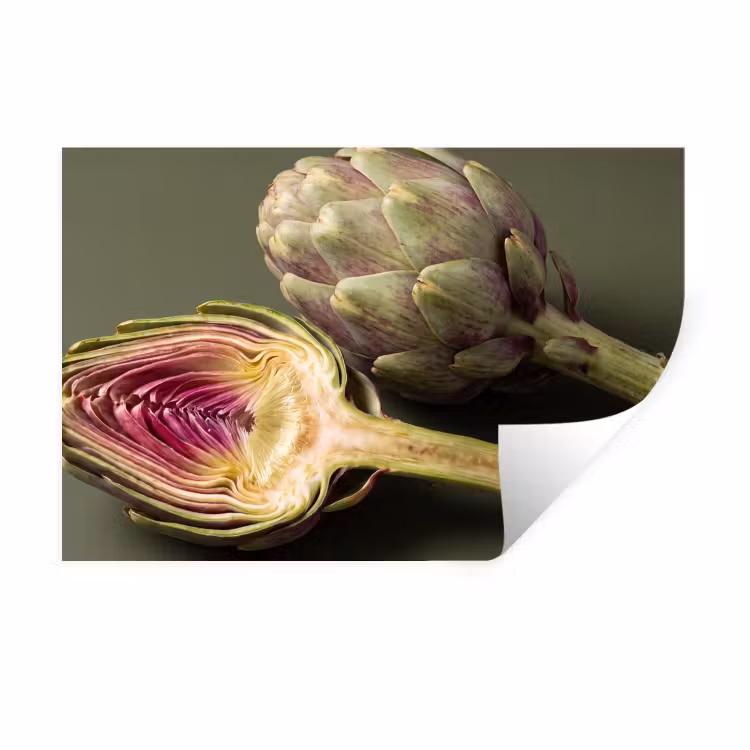 Muursticker - Artisjok - Paars - Voedsel — 1