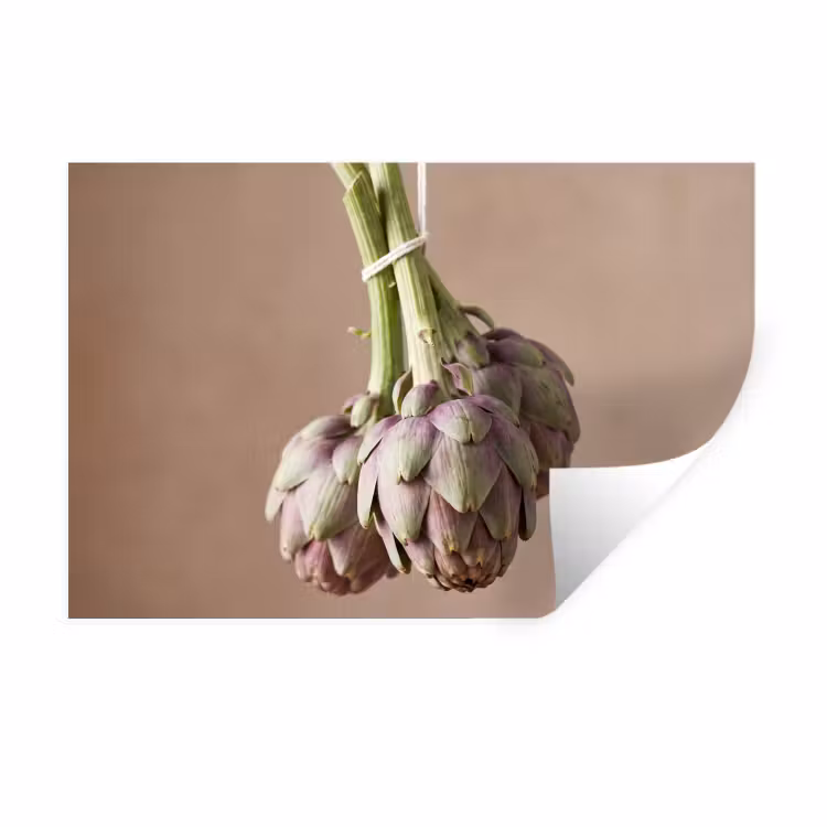 Muursticker - Artisjokken - Hangend - Groenten — 1