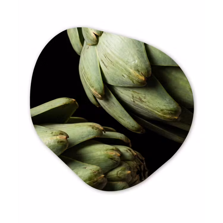 Organisch schilderij - Forex - Artisjok - Groen - Eten — 1