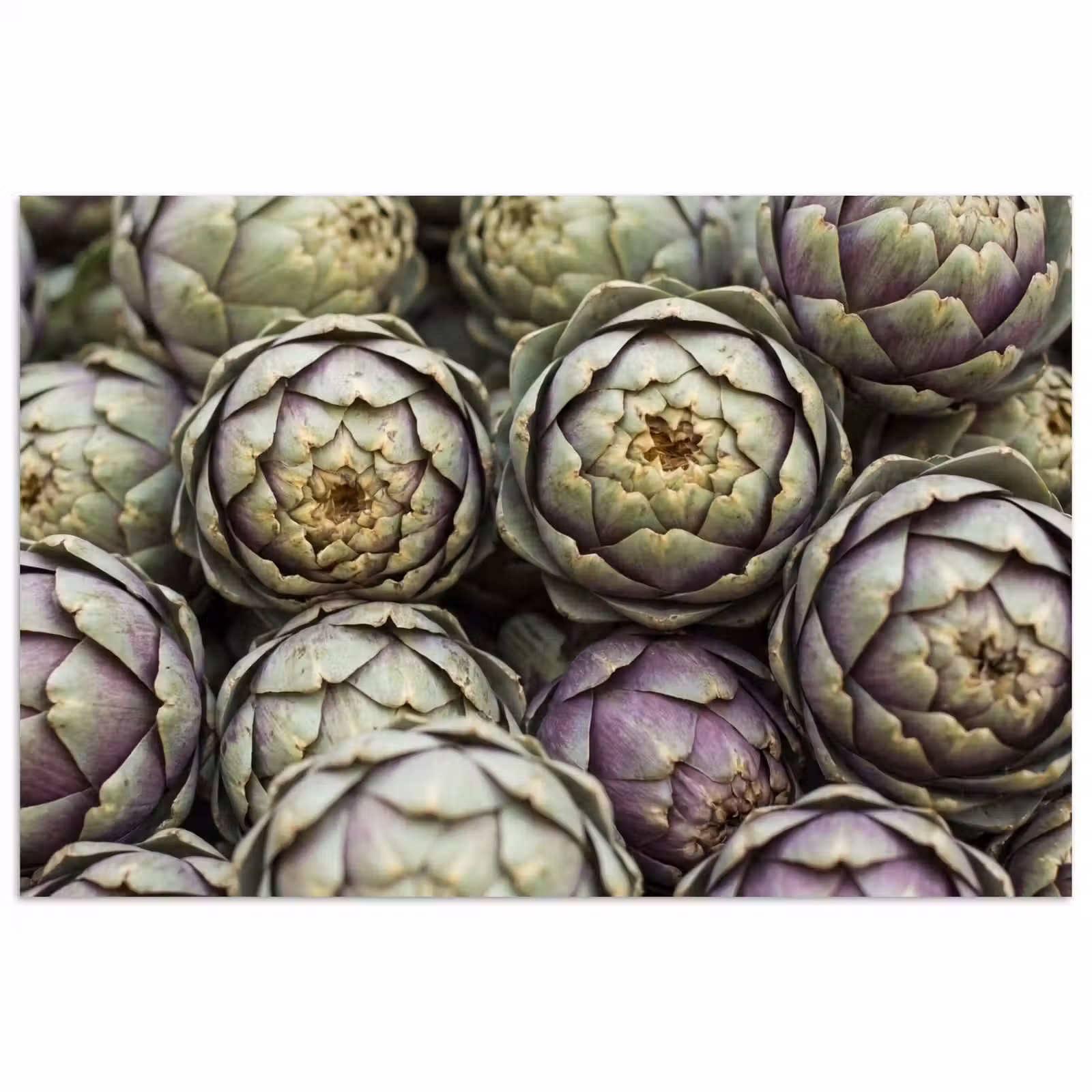 Poster - Groenten - Vers - Eten — 1