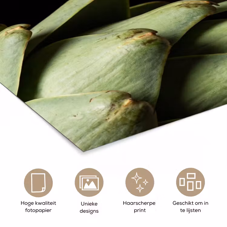 Poster - Artisjok - Groen - Eten — 5