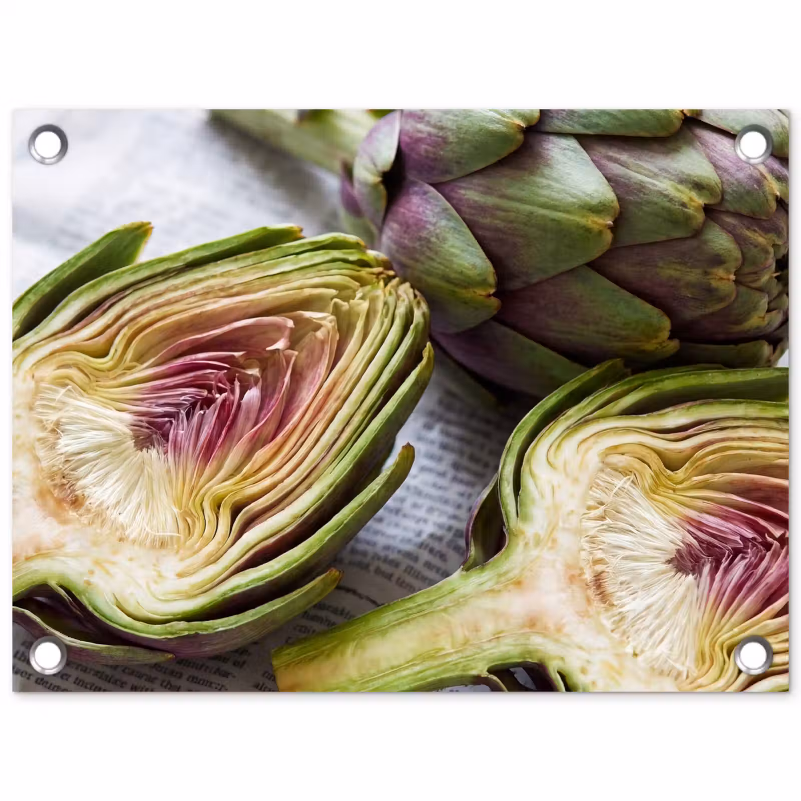 Tuinposter - Artisjok - Doorgesneden - Eten — 1