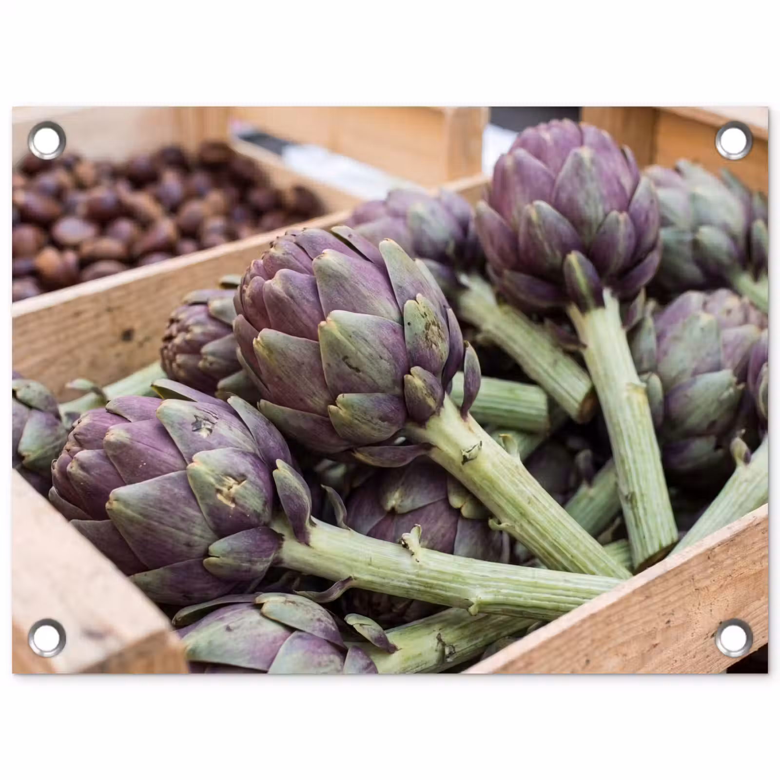 Tuinposter - Groenten - Markt - Vers — 1